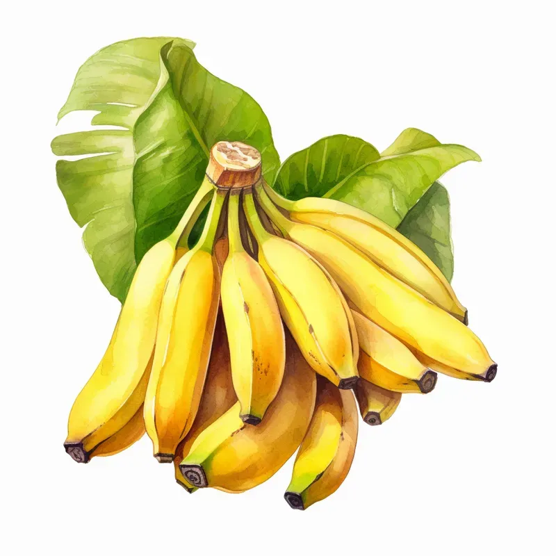 Summer Fruits