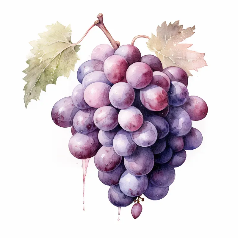 Summer Fruits