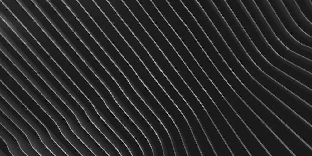 segenam profile banner