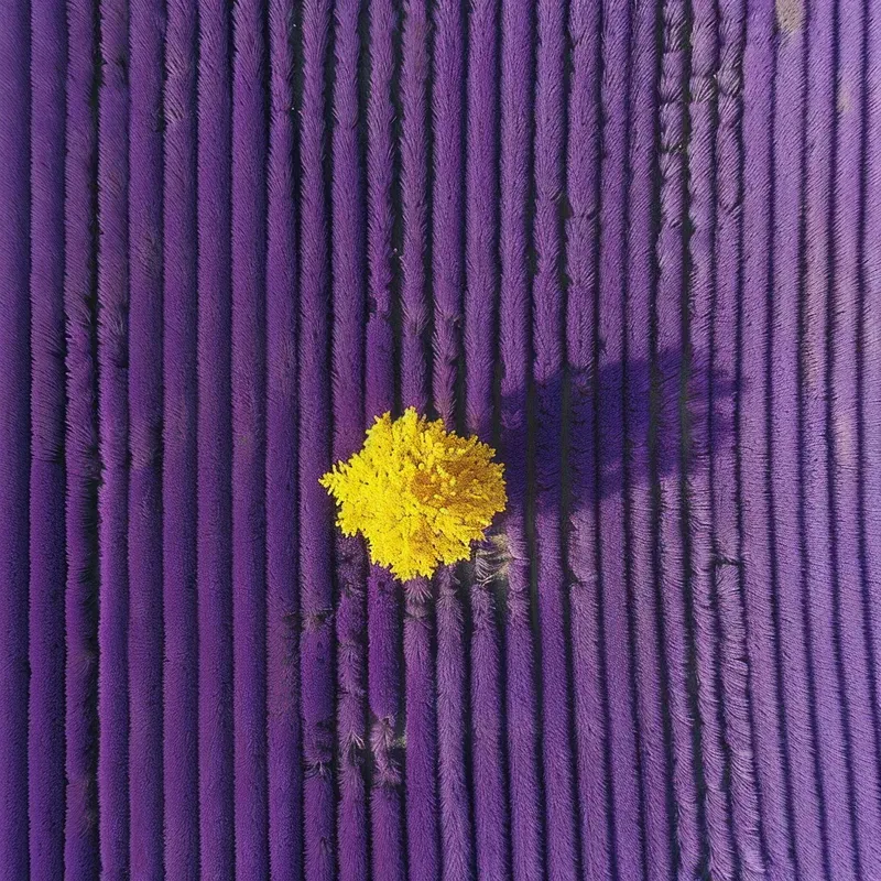 Minimalistic Aerial Landscapes