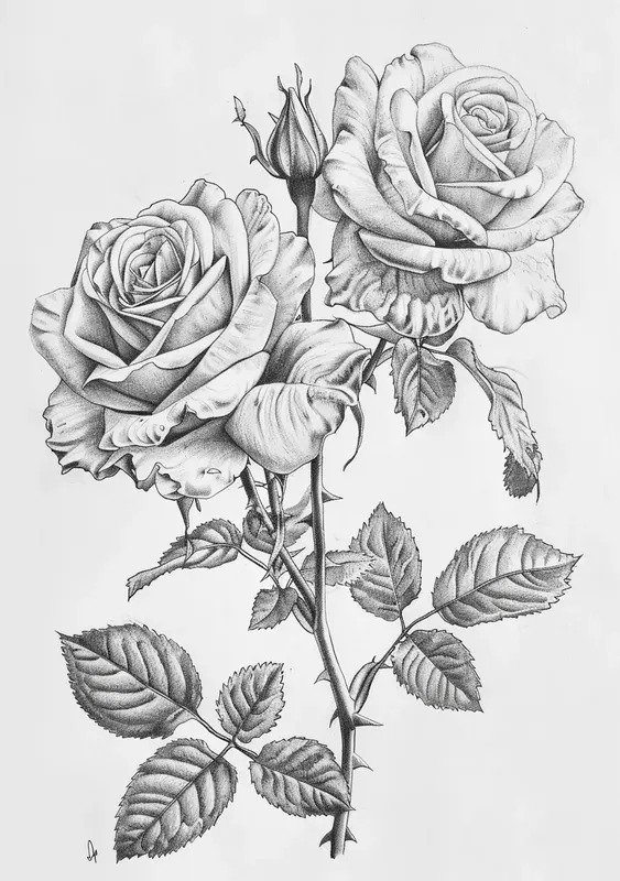 Tattoo Coloring Book Pages For Adults