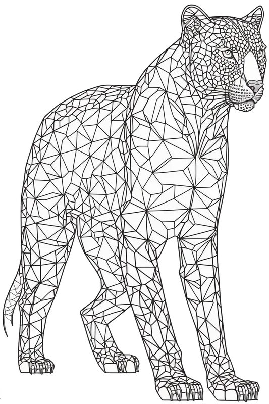 Adult Coloring Books Geometric Patterns