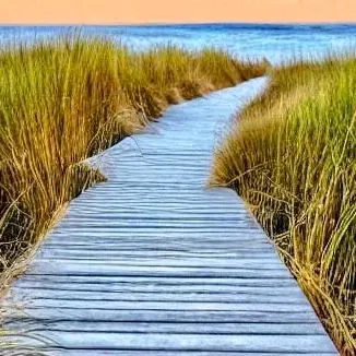 Beach Boardwalk