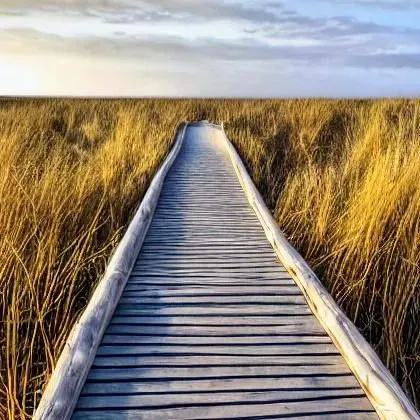 Beach Boardwalk