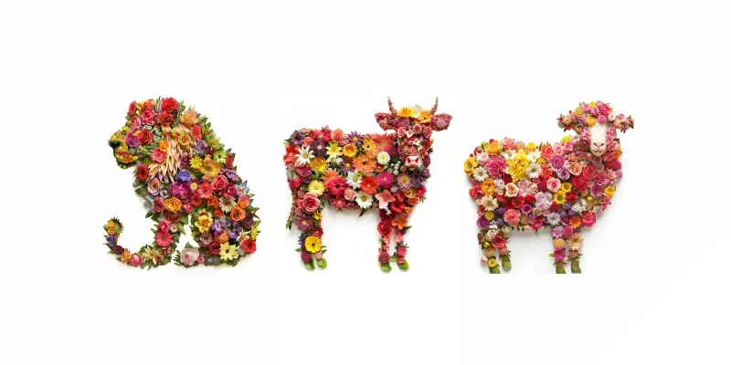Flower Animals generated by undefined