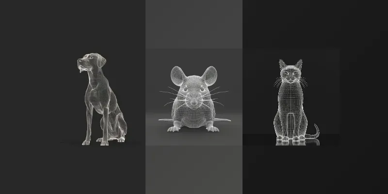 Wireframe 3D Models generated by undefined