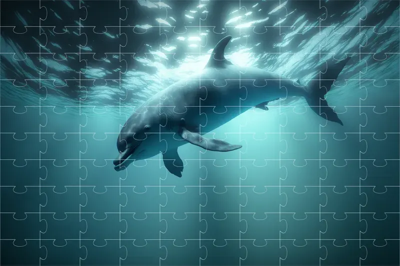Underwater Wildlife