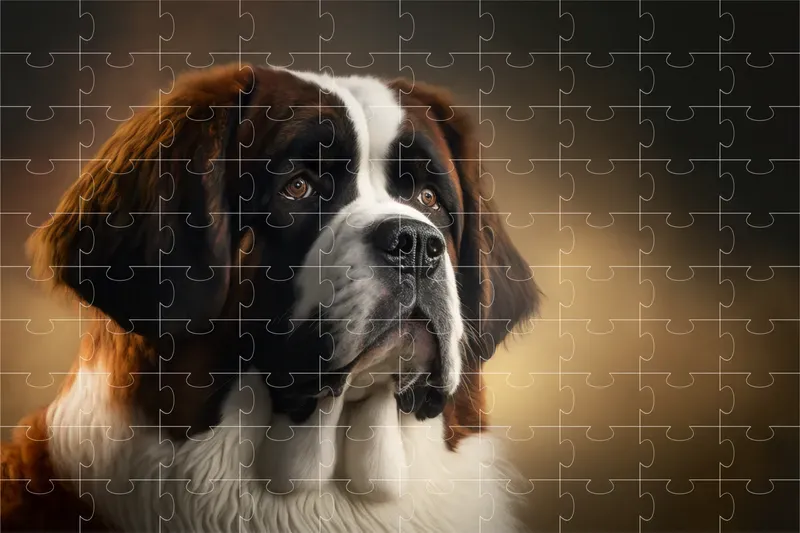 Dog Breed Studio Portraits