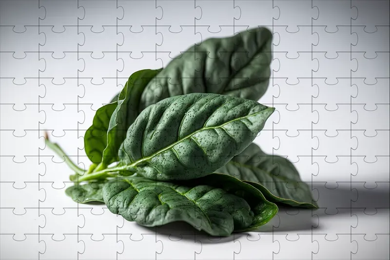 Fresh Vegetables