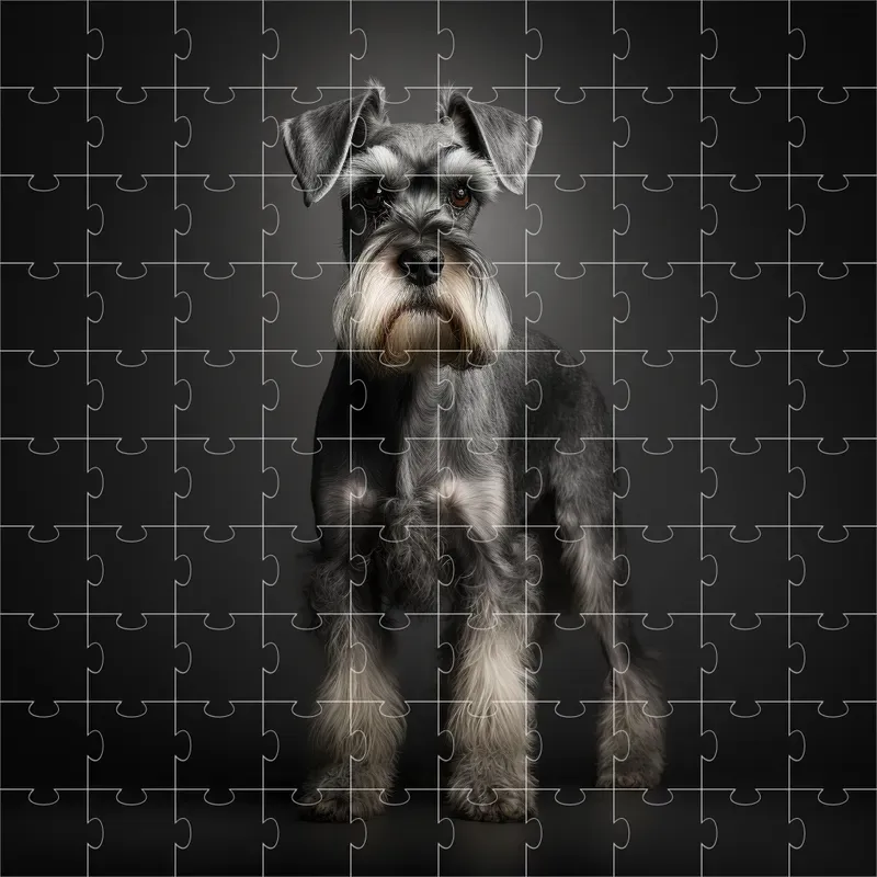 Breeds Dogs