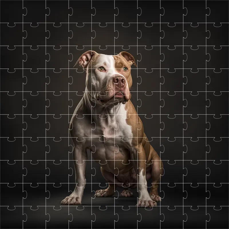 Breeds Dogs