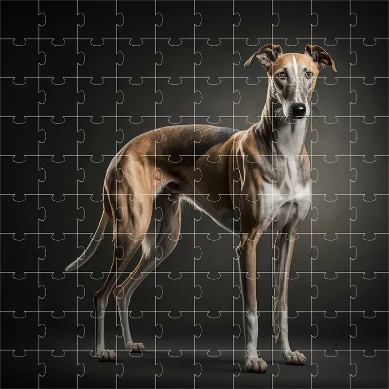 Breeds Dogs