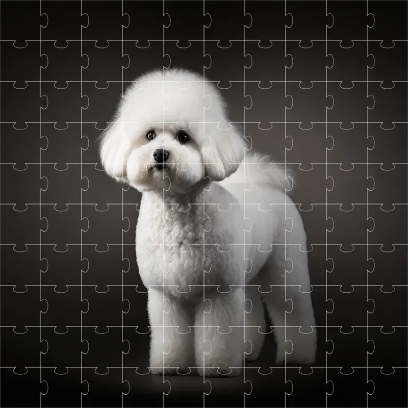 Breeds Dogs