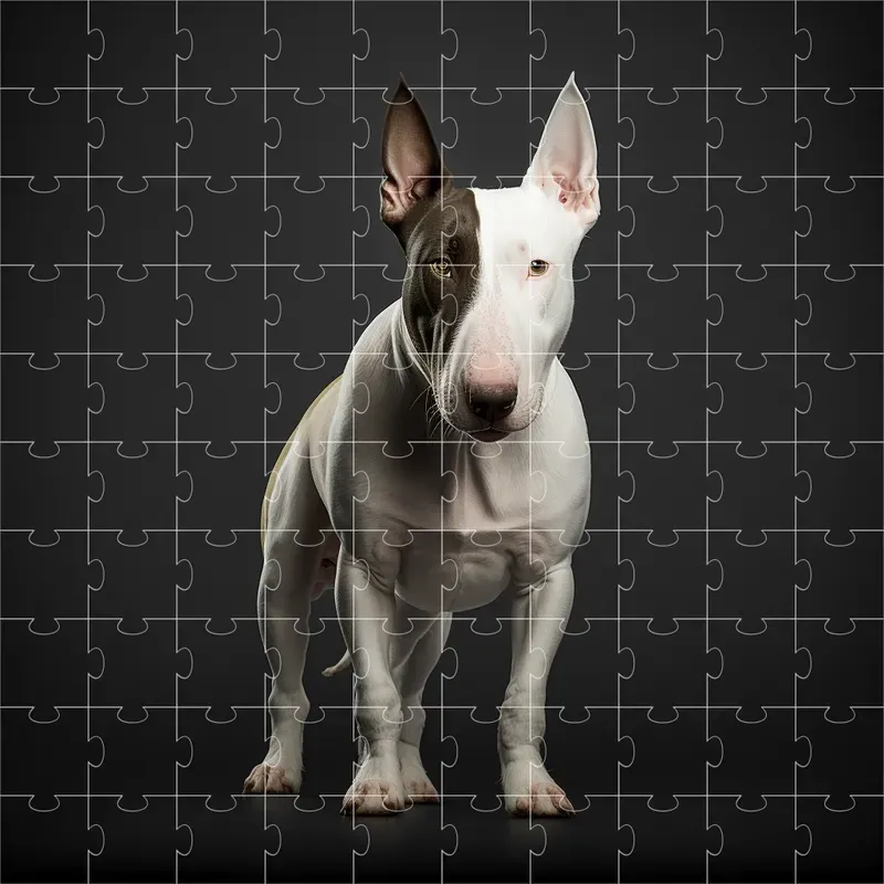 Breeds Dogs
