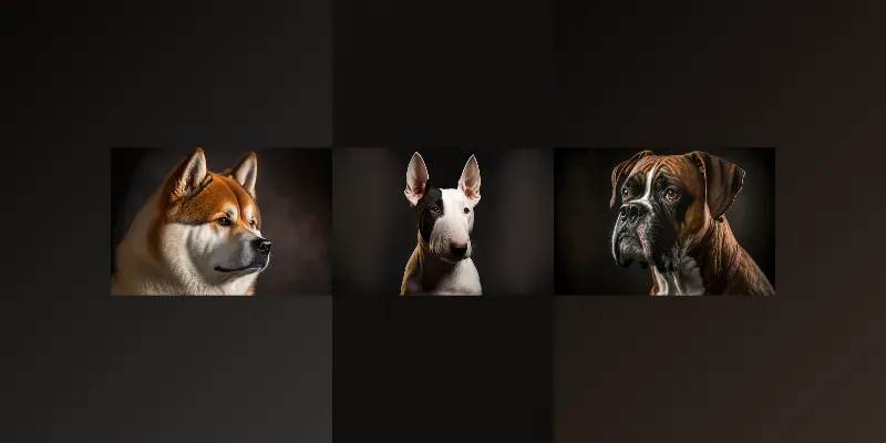 Dog Breed Studio Portraits generated by undefined
