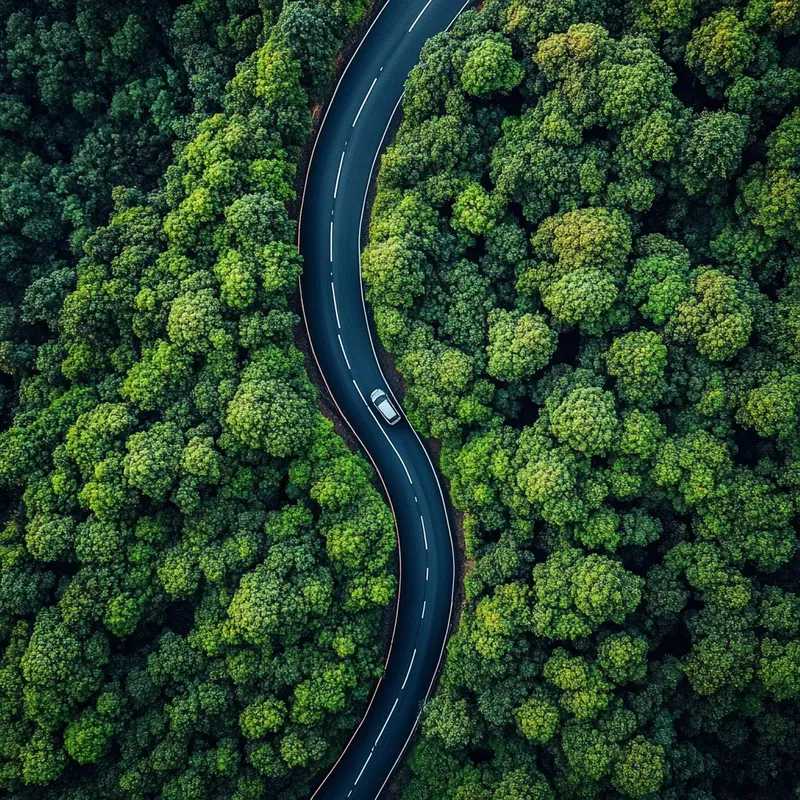 Birdseye View Photographs