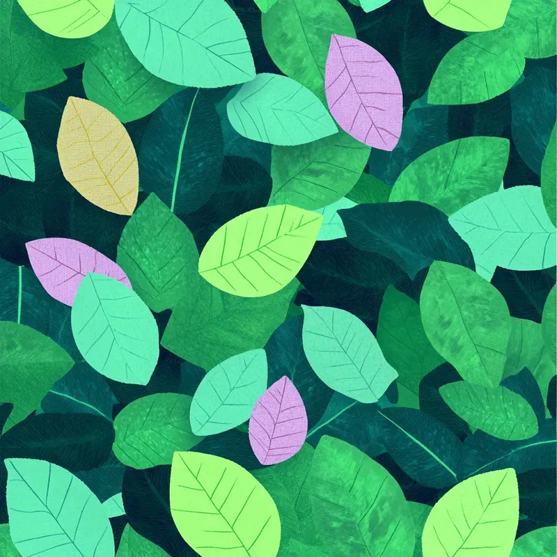 Seamless Pattern Designs