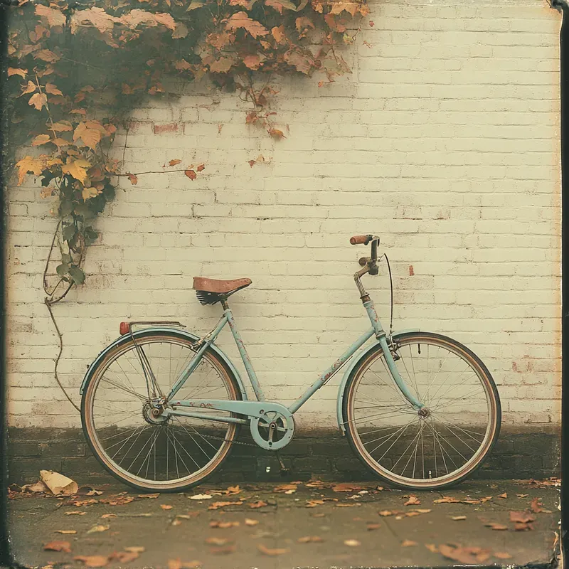 Nostalgic Polaroid Moments
