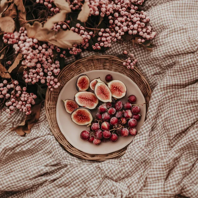 Boho Picnic Photographs