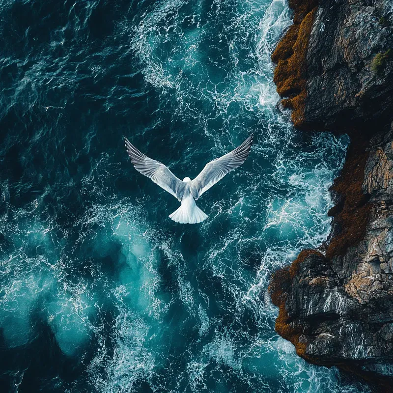 Drone Photography Of Actions And Natures