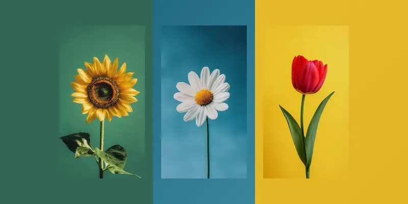 Stunning Flower Shots Wallpapers generated by undefined