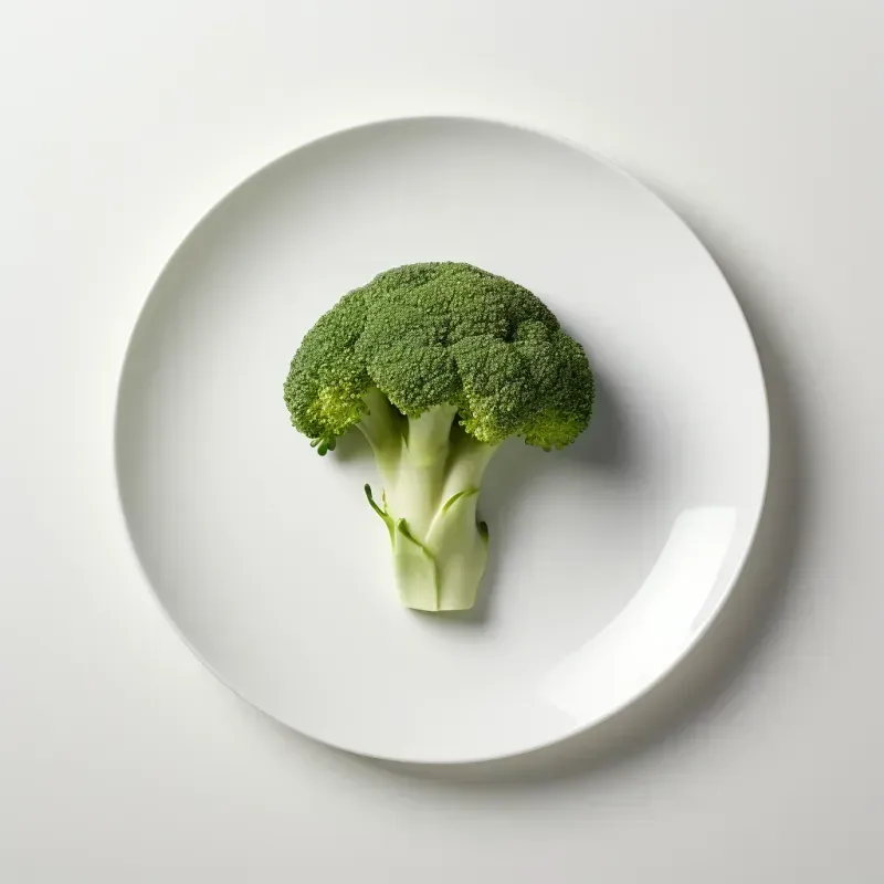 Object On Plate Minimalist