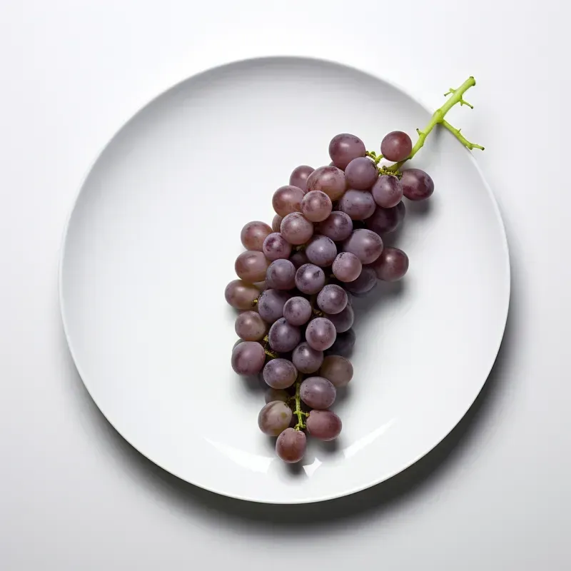 Object On Plate Minimalist