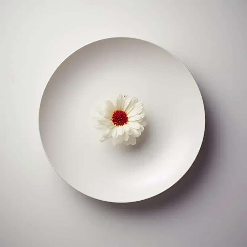 Object On Plate Minimalist