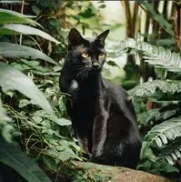 manicforyou profile picture