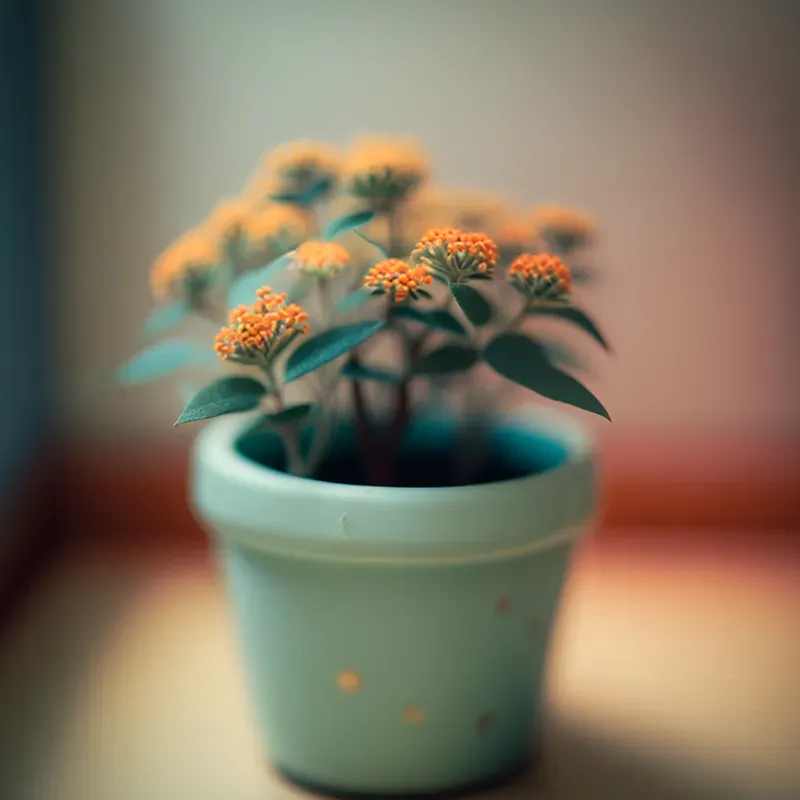 Cute Mini Plants