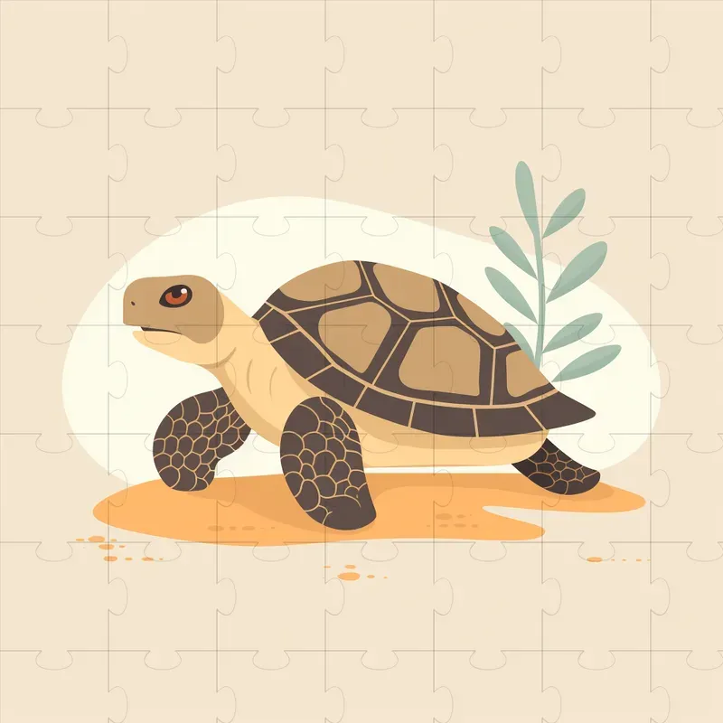 Soft Vector Illustrations