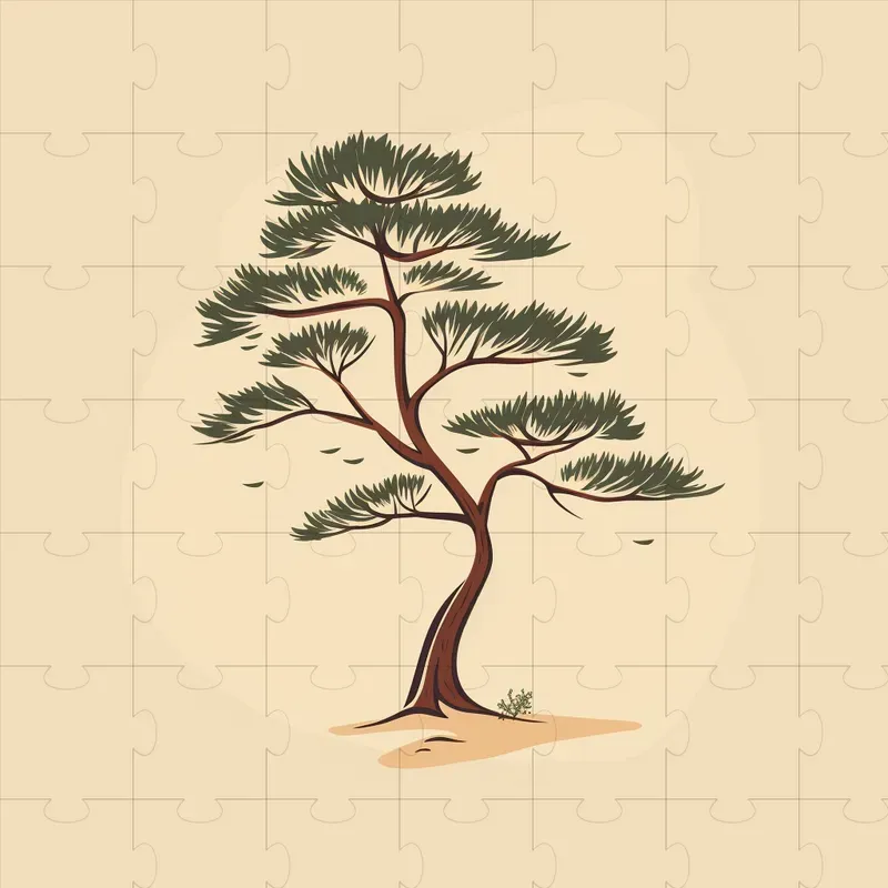 Soft Vector Illustrations