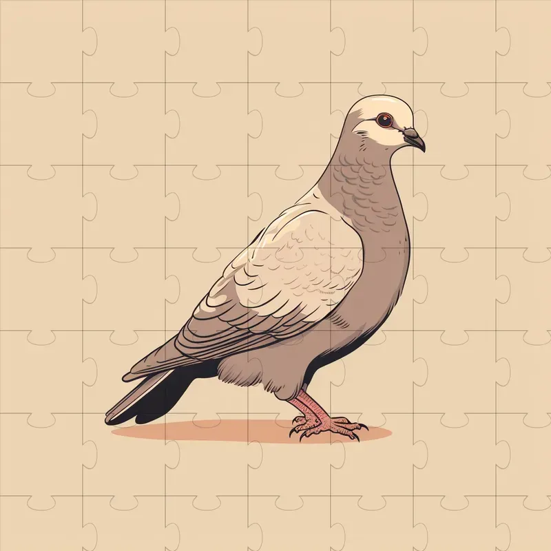 Vector Cuttable Illustrations