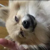 wasawo profile picture