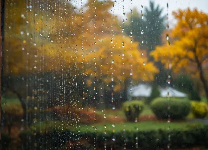 Warm Autumn Photos