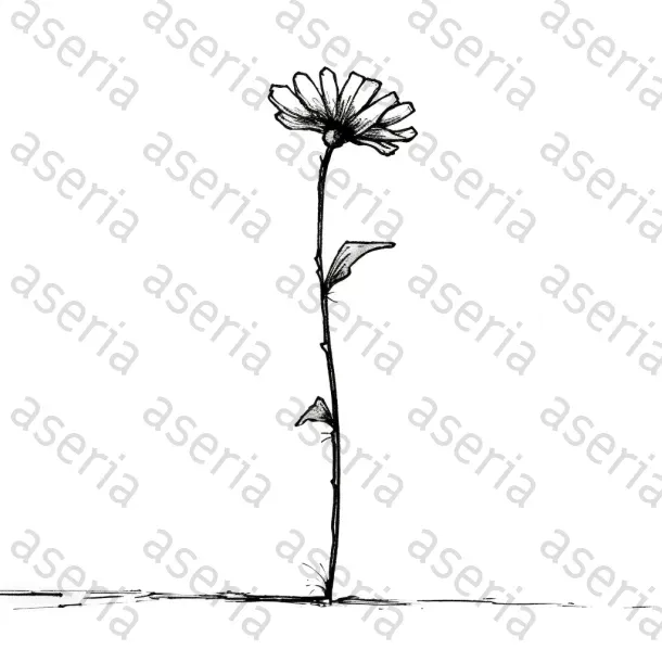 Simplistic Drawings
