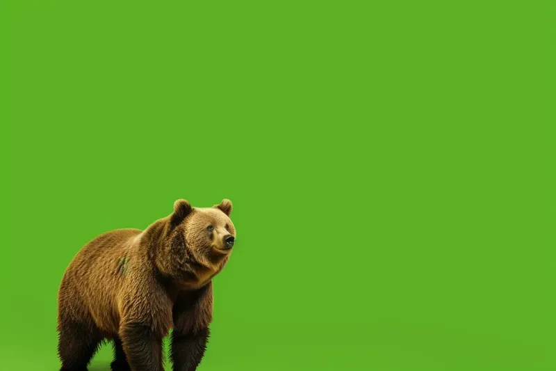 Green Screen Studios