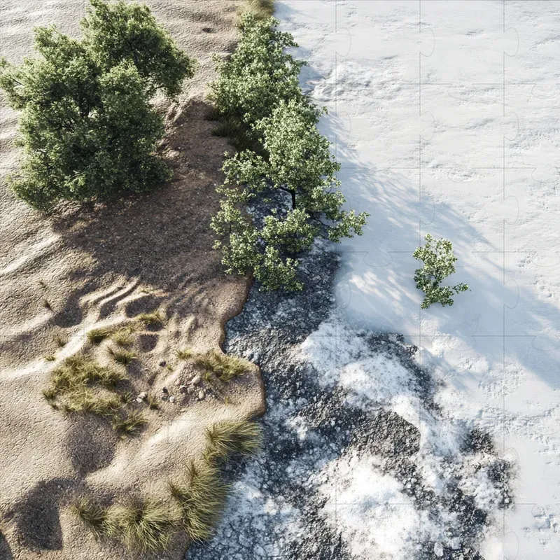 Biome Border Landscapes