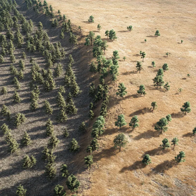 Biome Border Landscapes
