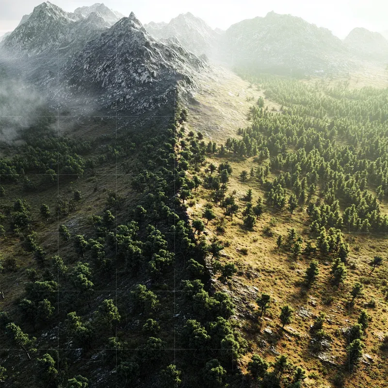 Biome Border Landscapes