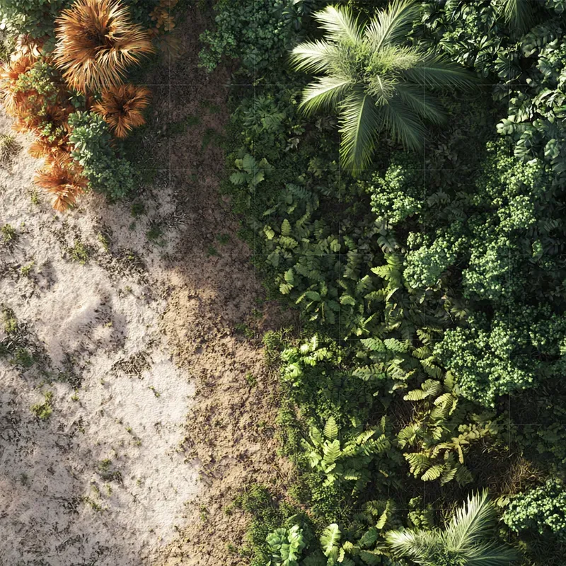 Biome Border Landscapes