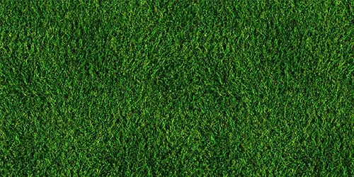 Grass Textures generated by dalle