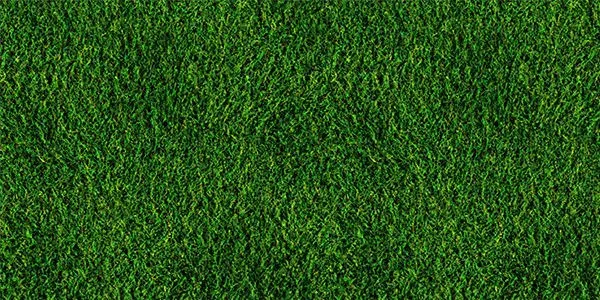 Grass Textures generated by undefined