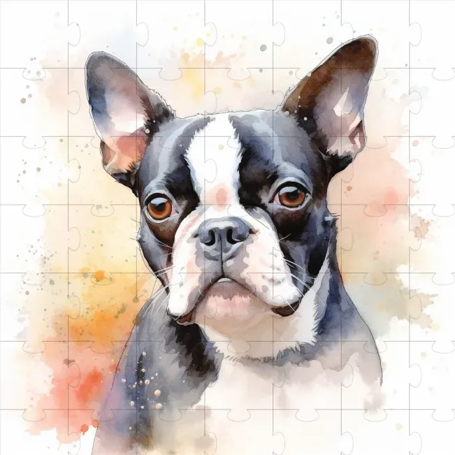Water Colored Animals