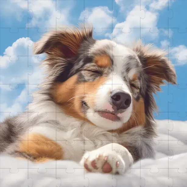 Animal Portraits In The Skies