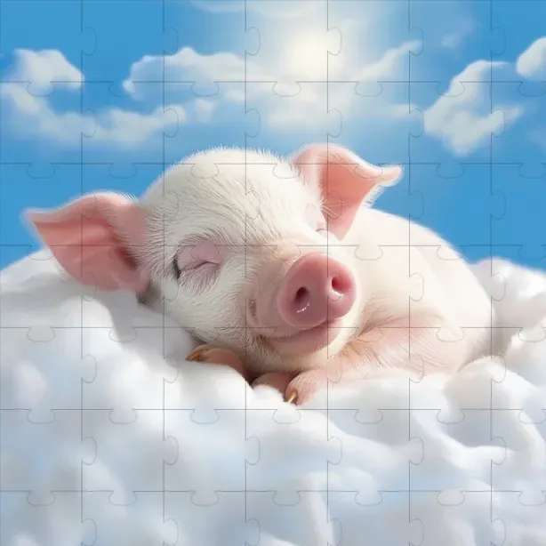 Animal Portraits In The Skies