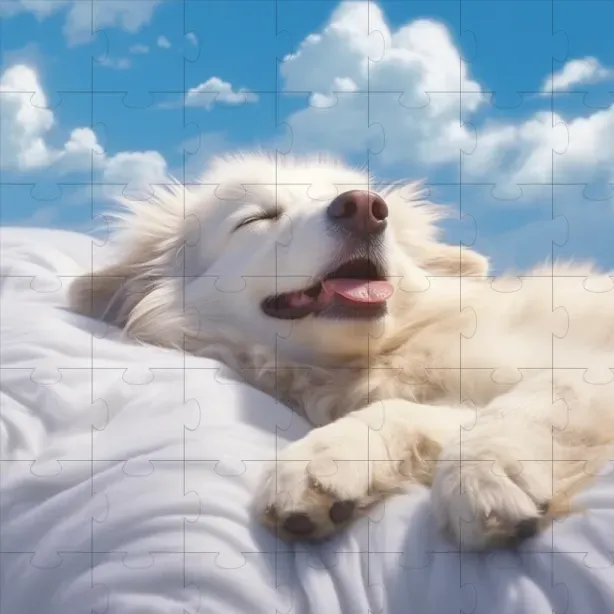 Animal Portraits In The Skies