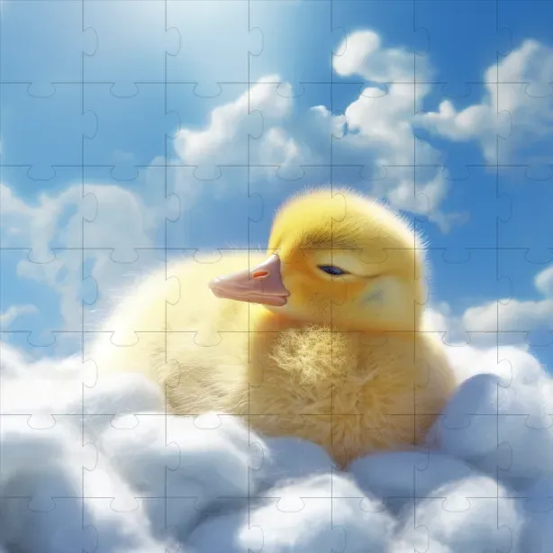 Animal Portraits In The Skies