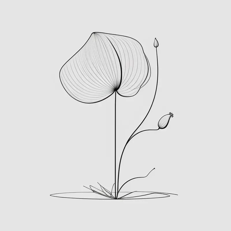 Floral Drawings