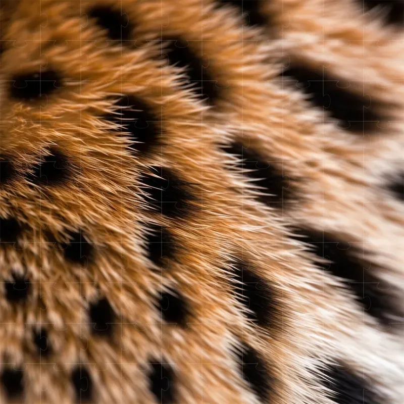Animal Furs Realistic Close Ups